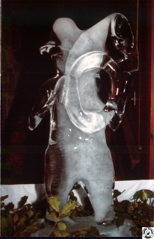 1979 11 10 02 MacGregor Downs ice carving.jpg